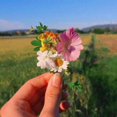 清新原宿风鲜花背景图